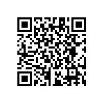 RT1206CRE07133KL QRCode