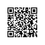 RT1206CRE07165KL QRCode