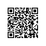 RT1206CRE0729K4L QRCode