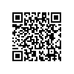 RT1206CRE076K04L QRCode