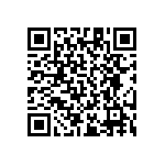 RT1206DRD07105RL QRCode