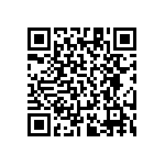 RT1206DRD0730R1L QRCode