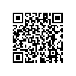 RT1206DRD0739K2L QRCode