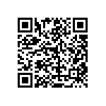 RT1206DRD073K16L QRCode