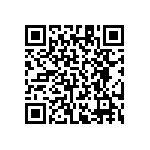 RT1206DRD0743K2L QRCode
