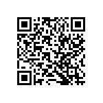 RT1206DRD0743KL QRCode