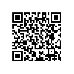 RT1206DRD078K87L QRCode