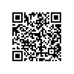 RT1206DRD07953RL QRCode