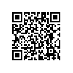 RT1206DRE0728R7L QRCode