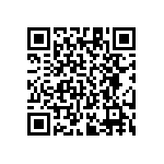 RT1206DRE0729K4L QRCode