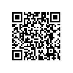 RT1206DRE073K3L QRCode