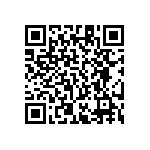 RT1206DRE074K53L QRCode