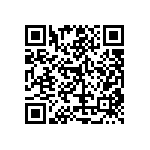 RT1206DRE074K87L QRCode