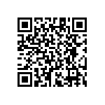 RT1206DRE07536RL QRCode