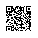 RT1206DRE0795R3L QRCode