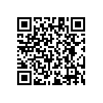 RT1206FRD0719K6L QRCode