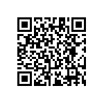 RT1206FRE0713R3L QRCode