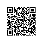 RT1206FRE071K87L QRCode