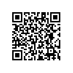 RT1206WRB0710K2L QRCode