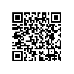 RT1206WRB07300RL QRCode