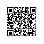 RT1206WRB0751K1L QRCode