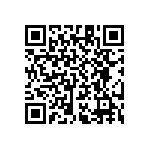 RT1206WRB077K32L QRCode