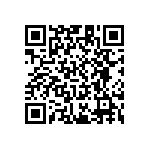 RT1206WRB079K1L QRCode