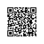 RT1206WRC0729R4L QRCode