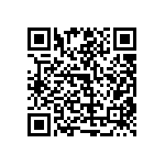 RT1206WRC0741K2L QRCode