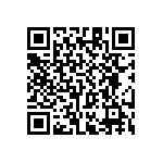 RT1206WRC0743K2L QRCode