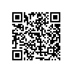 RT1206WRC07487RL QRCode