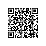 RT1206WRC0751R1L QRCode