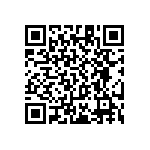 RT1206WRC0784R5L QRCode