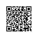 RT1210CRD07953KL QRCode