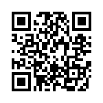 RT12C2P202 QRCode