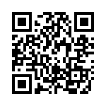 RT134006 QRCode