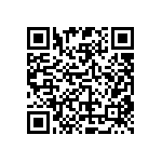 RT2010DKE079K53L QRCode