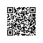 RT2010FKE07287RL QRCode