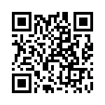 RT22C2L101M QRCode