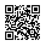 RT22C2L102 QRCode