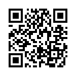 RT22C2L502M QRCode