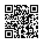 RT22C2X501 QRCode