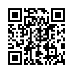 RT24C2W200 QRCode