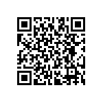 RT2512BKE0724K9L QRCode