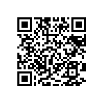 RT2512BKE07383RL QRCode