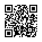 RT33K048 QRCode