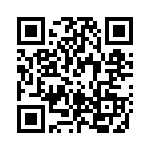 RT33L060 QRCode