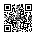 RT7028BGS QRCode