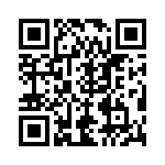 RT9013-12GQW QRCode
