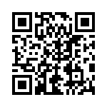 RT9032CGQW QRCode